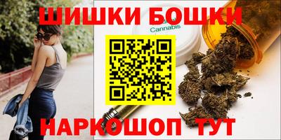 МДПВ Пенза