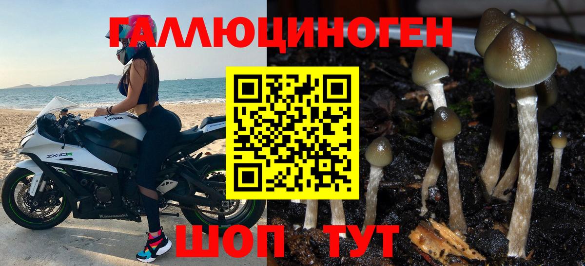Галлюциногенные грибы Cubensis  Вход с VPN  Биробиджан 